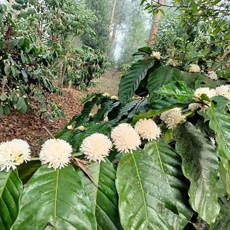 Gonikoppal Coorg Kolamotte酒店 外观 照片